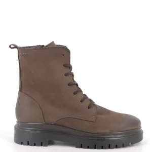 IGI&CO Stivaletti anfibio Donna - Testa di moro modello 8664022