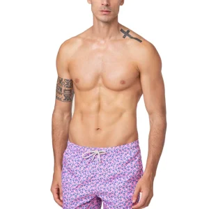 Shorts Fantasia